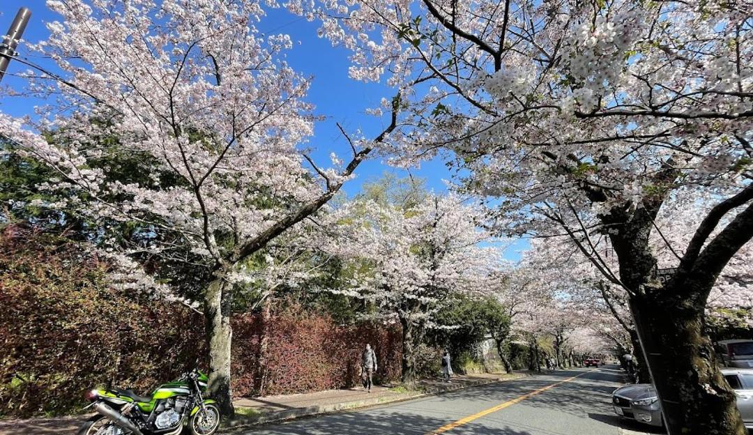 伊豆高原 温泉付別荘 Isana Mountain Villa Futo Exterior foto